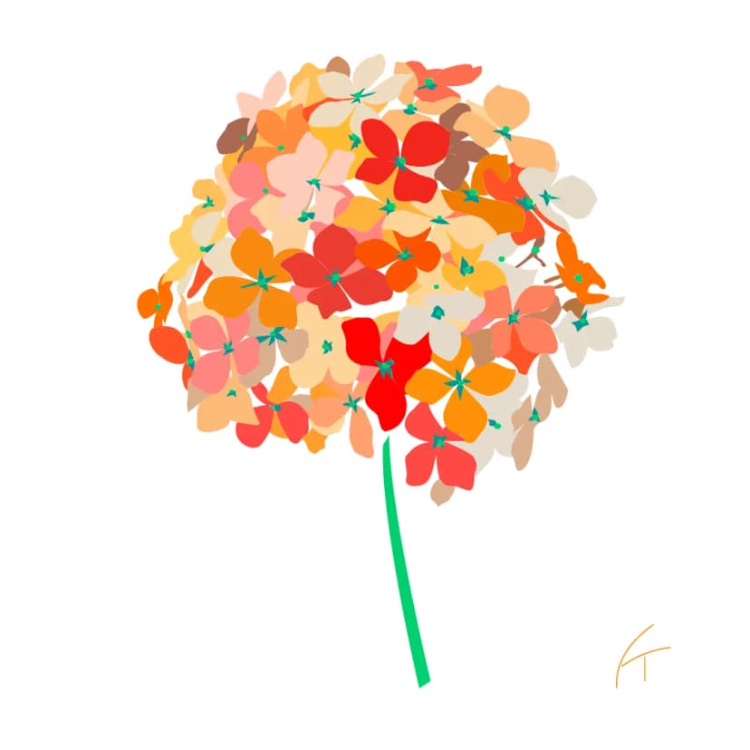 Hydrangea